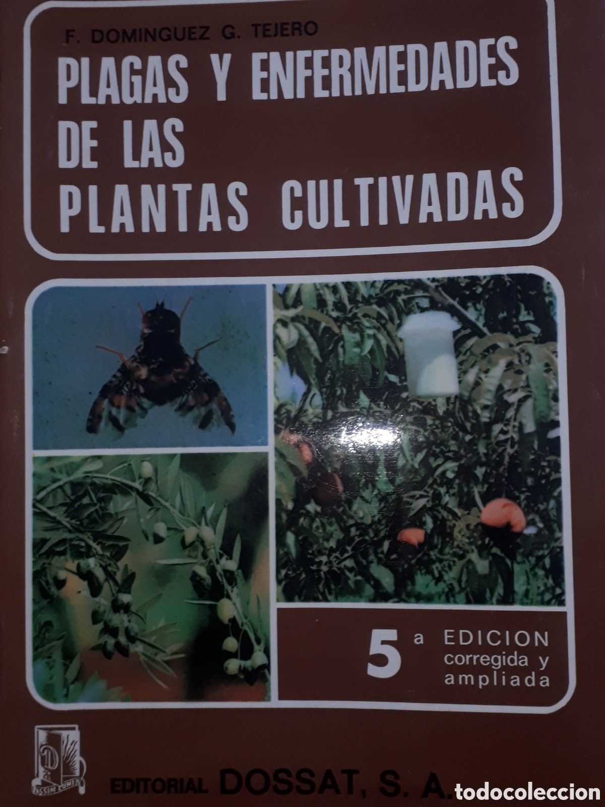 Gebrauchte B&uuml;cher: PLAGAS Y ENFERMEDADES DE LAS PLANTAS CULTIVADA F. DOMINGUEZ - G. TEJERO