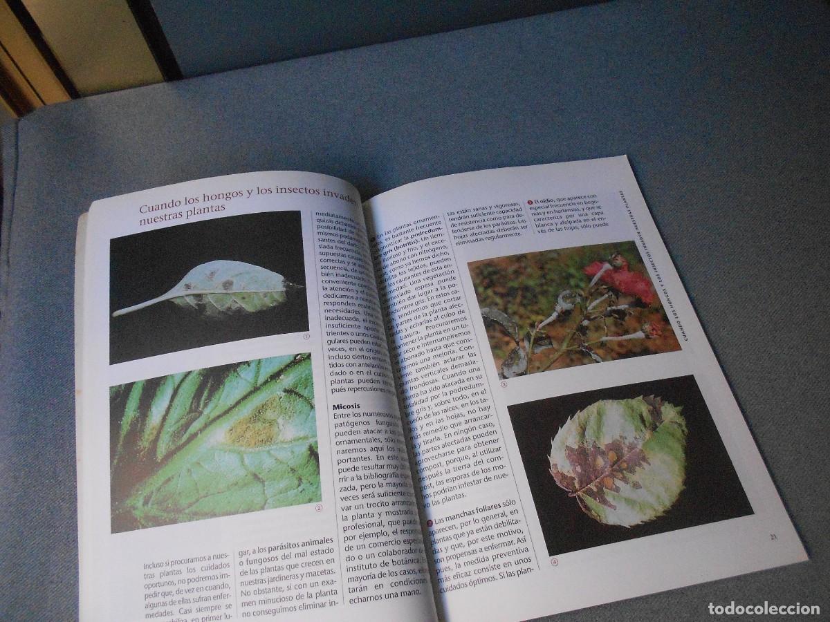 Libros de segunda mano: SU JARDIN EN LA TERRAZA - Foto 5