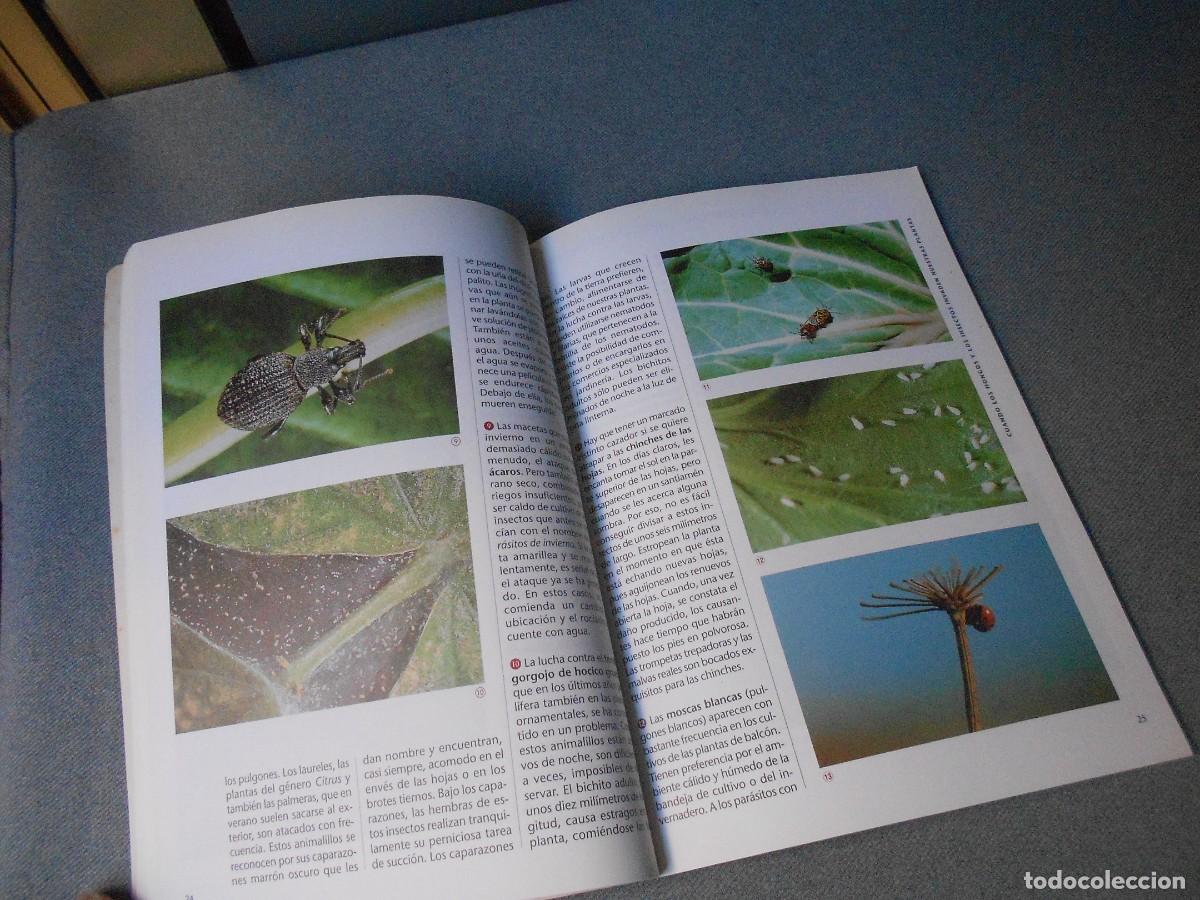 Libros de segunda mano: SU JARDIN EN LA TERRAZA - Foto 6