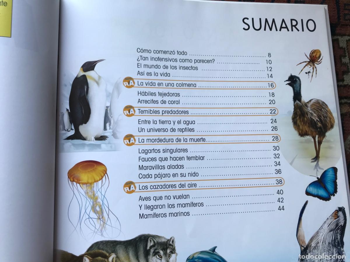 Libros de segunda mano: Animales. Realidad aumentada - Foto 4