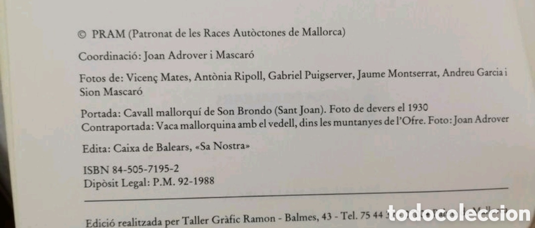 Libros de segunda mano: Els animals dom&egrave;stics de ra&ccedil;a aut&ograve;ctona de Mallorca - Foto 3