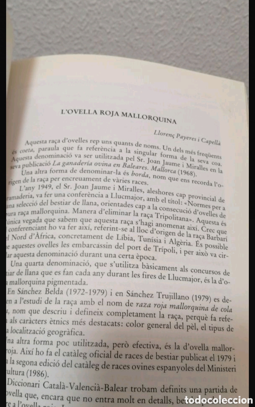 Libros de segunda mano: Els animals dom&egrave;stics de ra&ccedil;a aut&ograve;ctona de Mallorca - Foto 6