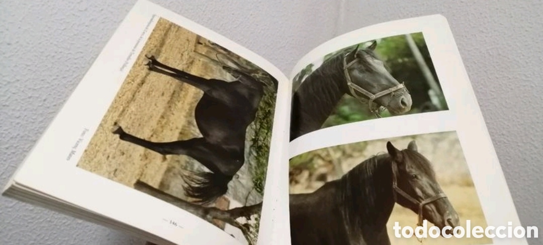 Libros de segunda mano: Els animals dom&egrave;stics de ra&ccedil;a aut&ograve;ctona de Mallorca - Foto 9