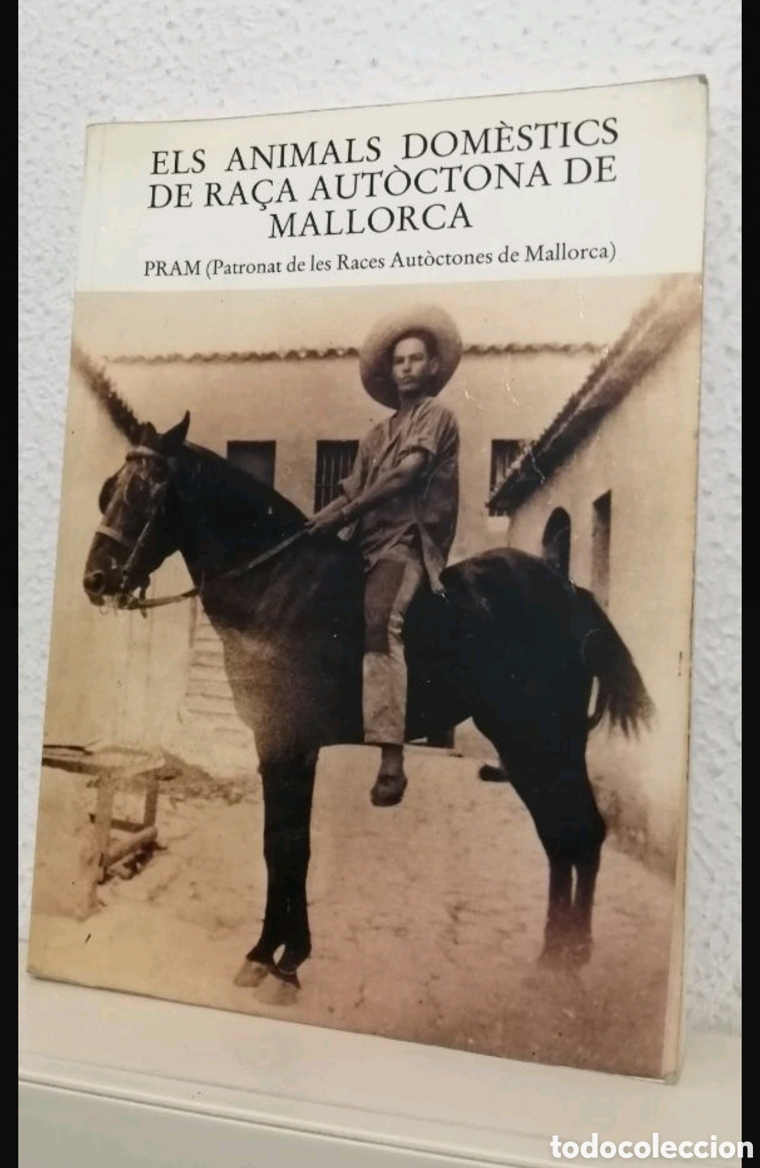 Libros de segunda mano: Els animals dom&egrave;stics de ra&ccedil;a aut&ograve;ctona de Mallorca - Foto 1