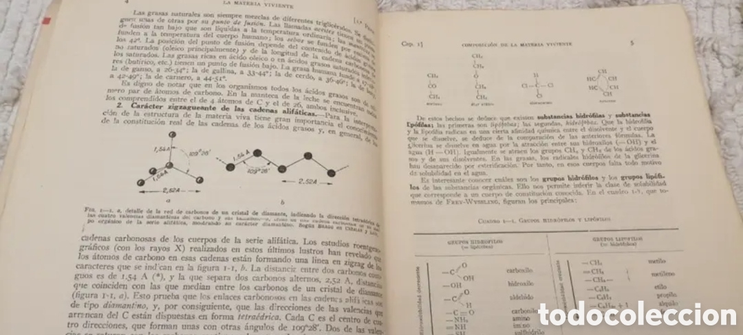 Libros de segunda mano: 1959 Biolog&iacute;a general 2 tomos - Foto 4
