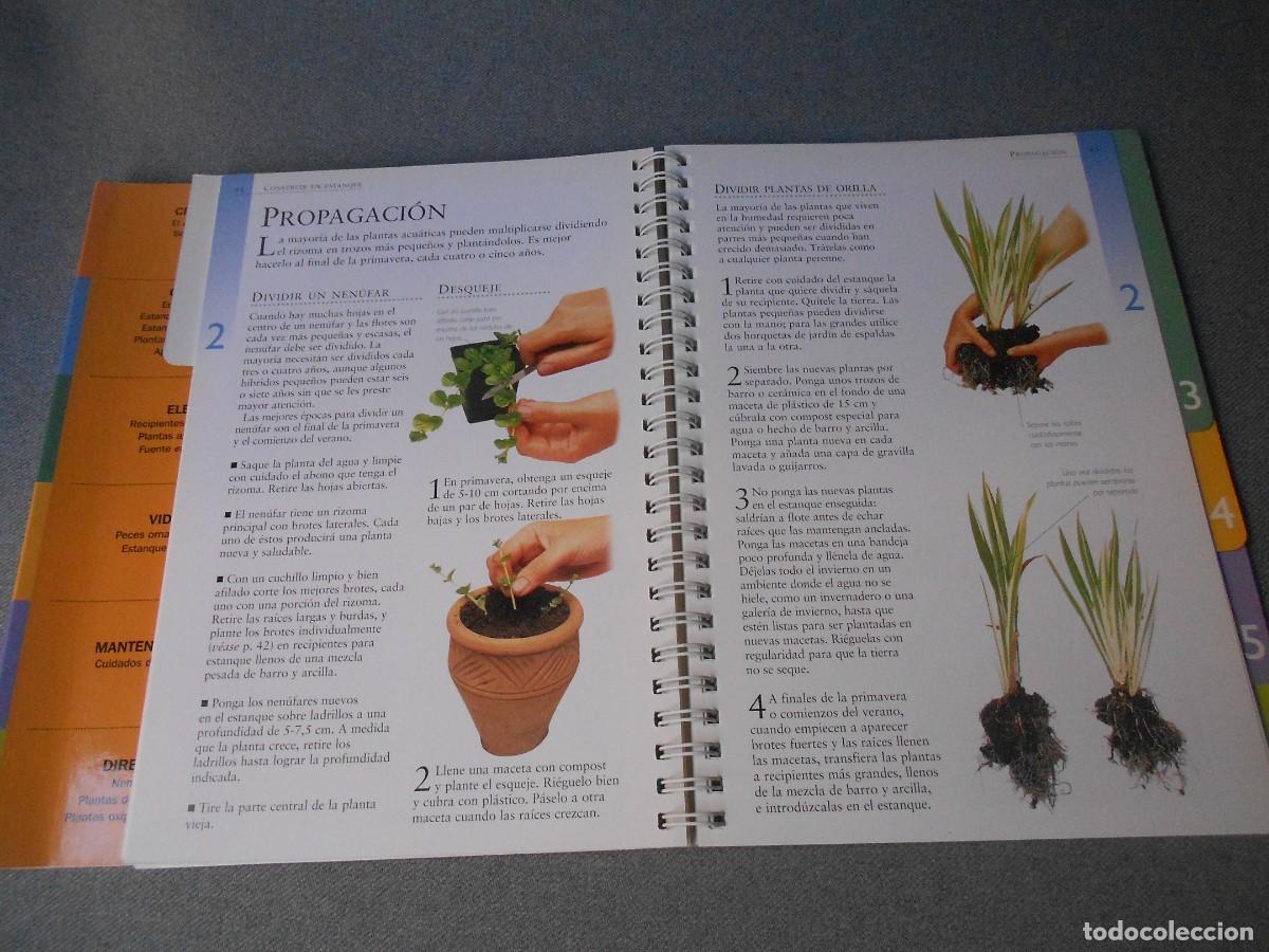 Libros de segunda mano: JARDINES CON FUENTES Y PEQUE&Ntilde;OS ESTANQUES - Foto 10