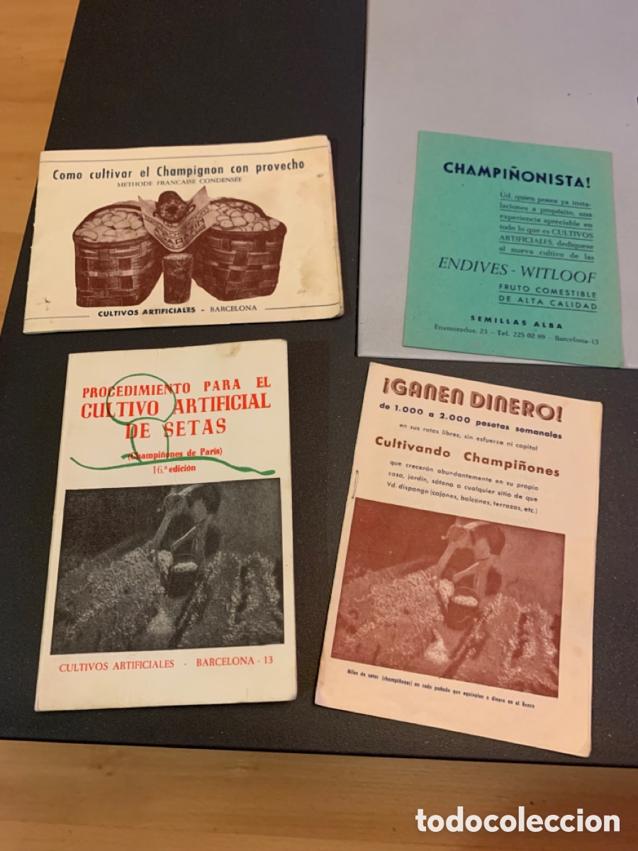 Libros de segunda mano: LIBRO Y 3 Folletos. CULTIVO DE SETAS - Foto 1