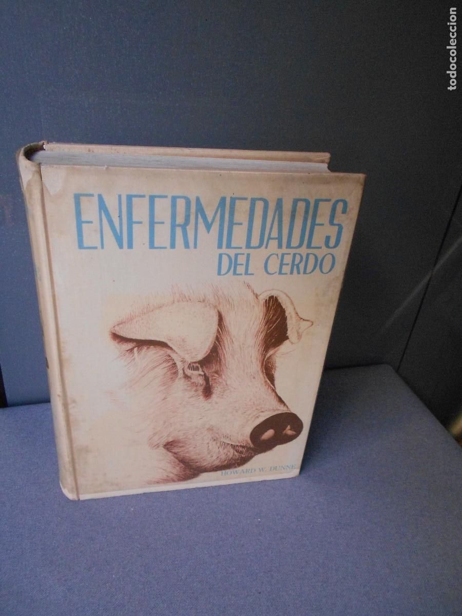 Libros de segunda mano: ENFERMEDADES DEL CERDO - Foto 1