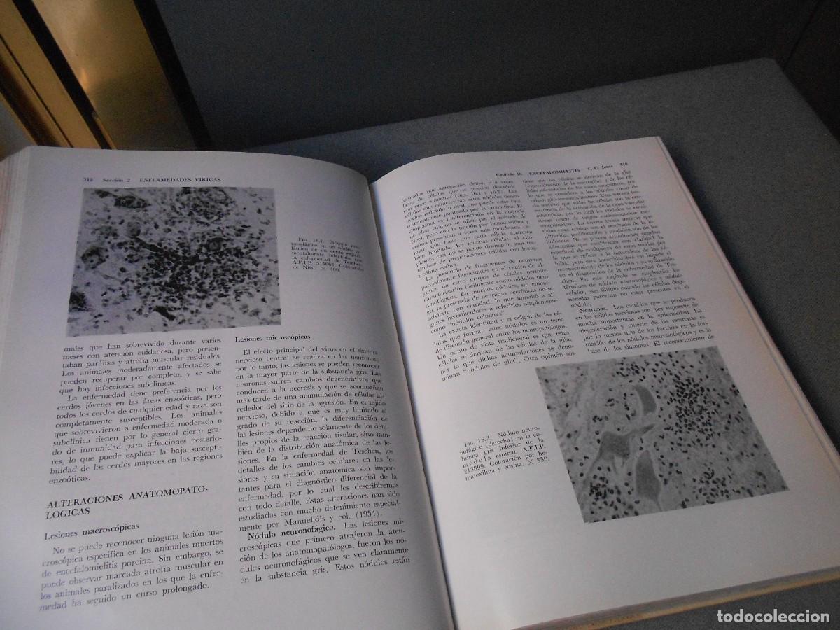 Libros de segunda mano: ENFERMEDADES DEL CERDO - Foto 7