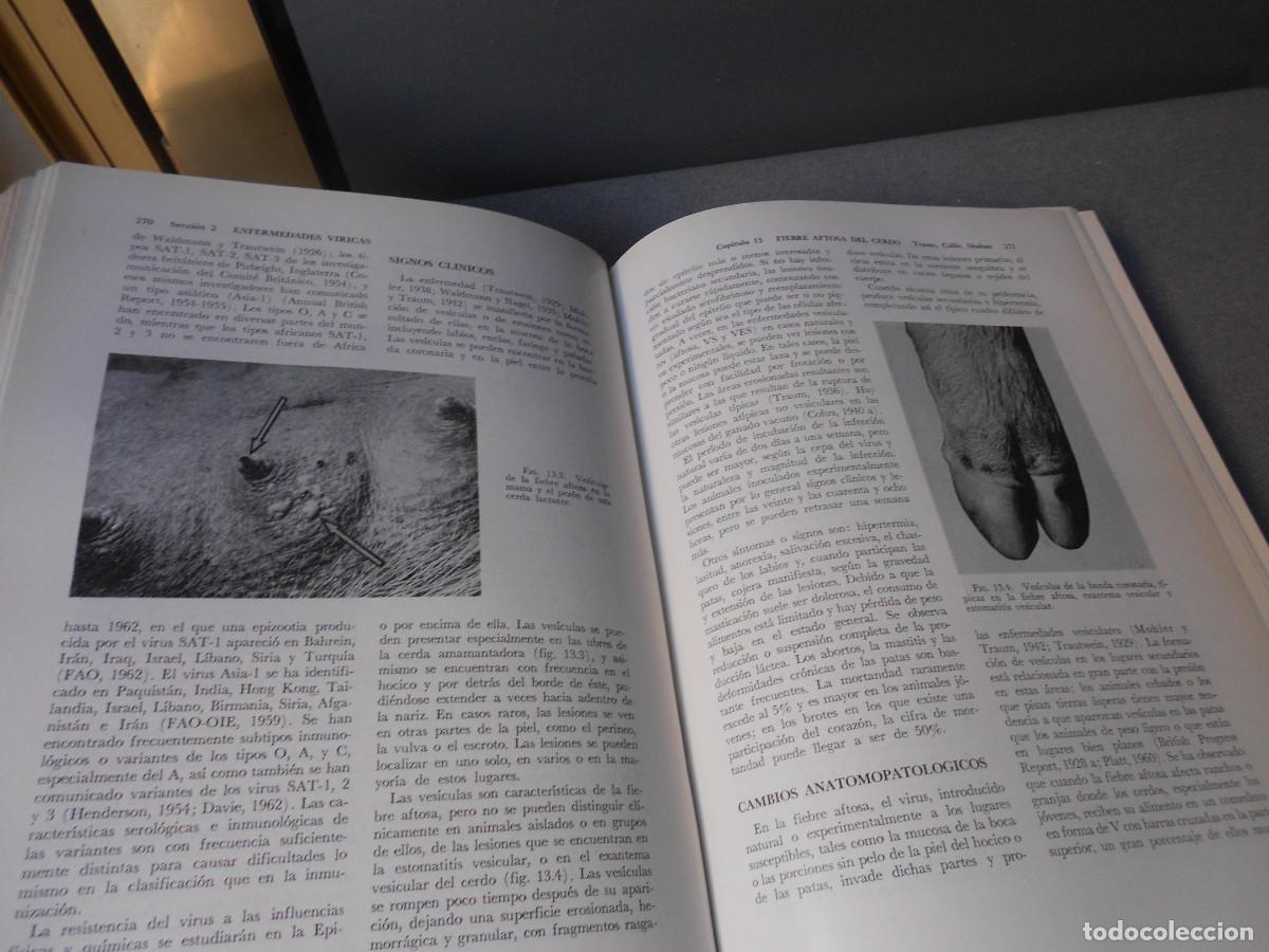 Libros de segunda mano: ENFERMEDADES DEL CERDO - Foto 8