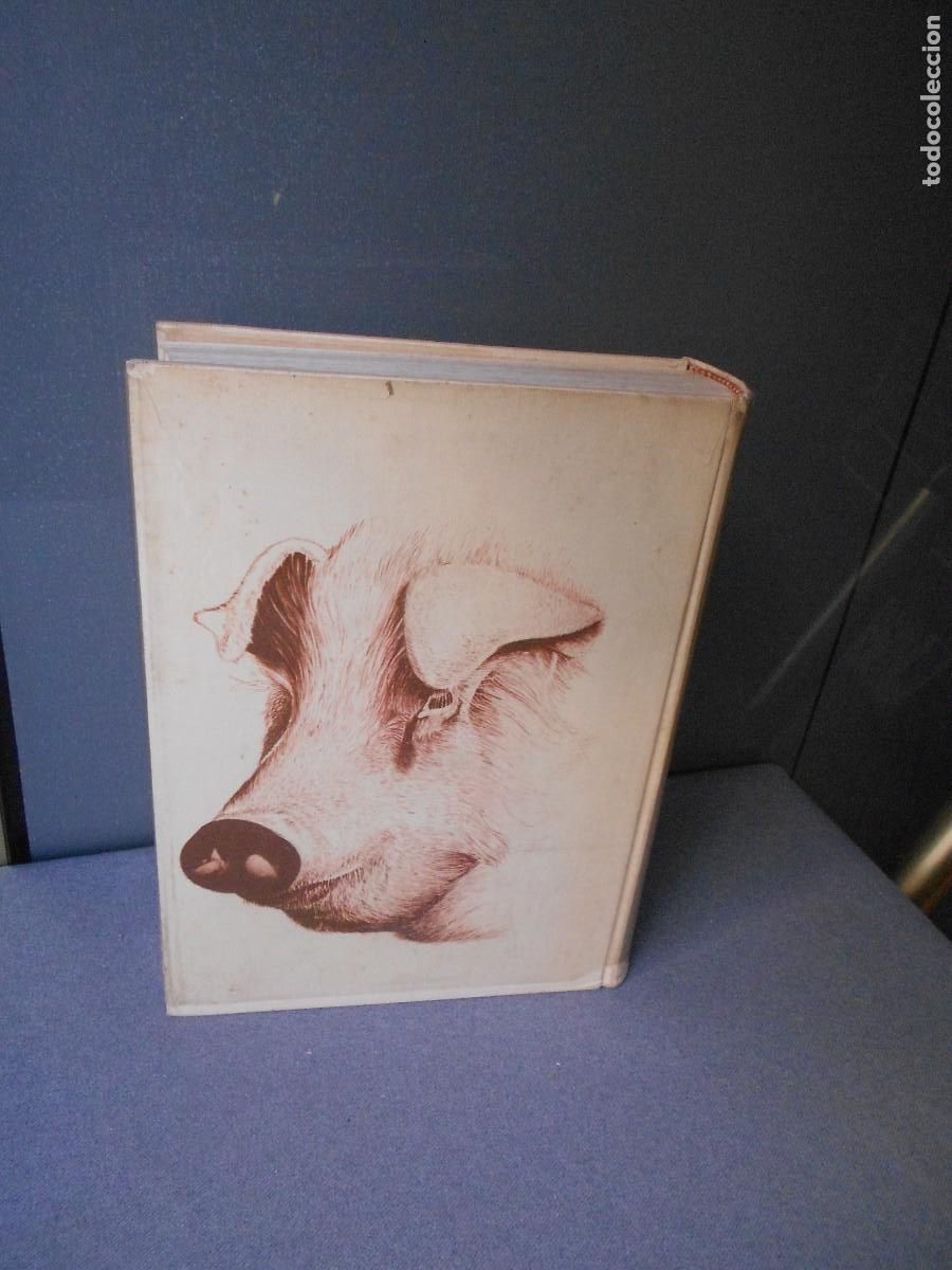 Libros de segunda mano: ENFERMEDADES DEL CERDO - Foto 12