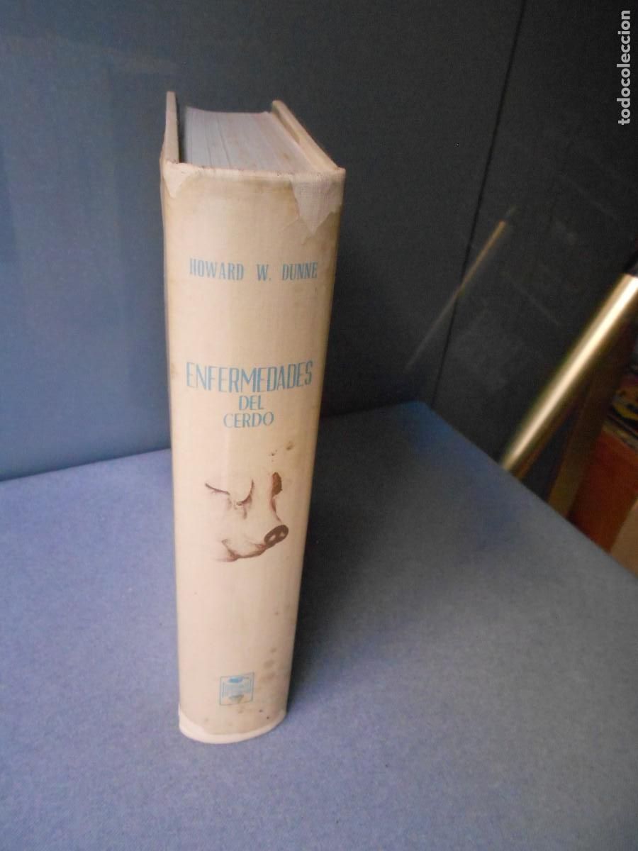 Libros de segunda mano: ENFERMEDADES DEL CERDO - Foto 13