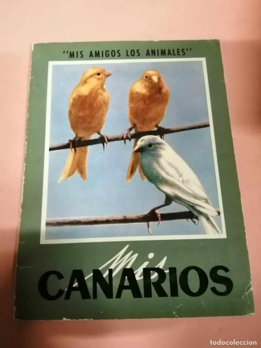 Libros de segunda mano: MIS CANARIOS (COLECCION MIS AMIGOS LOS ANIMALES) - Foto 1