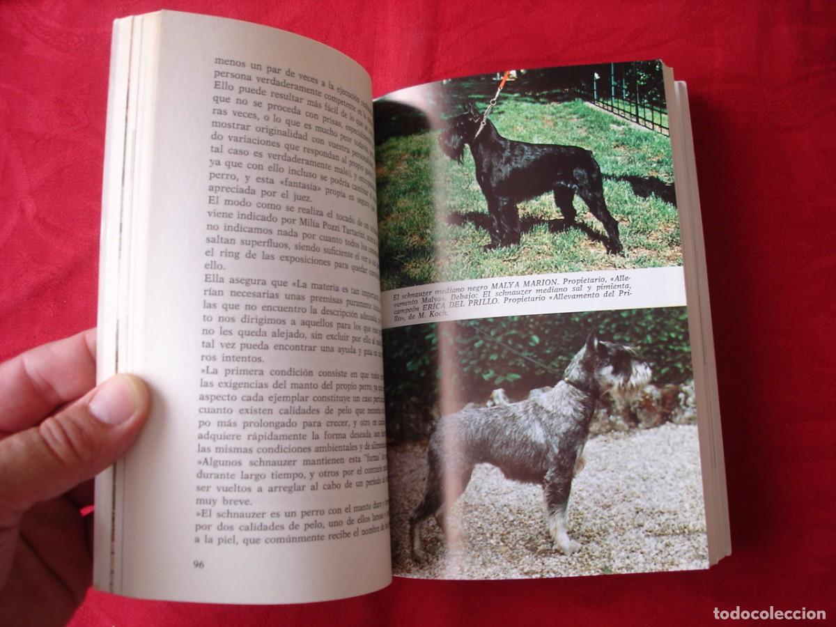 Libros de segunda mano: Lote dos libros sobre perros de raza Schnauzer. Como nuevos. - Foto 3