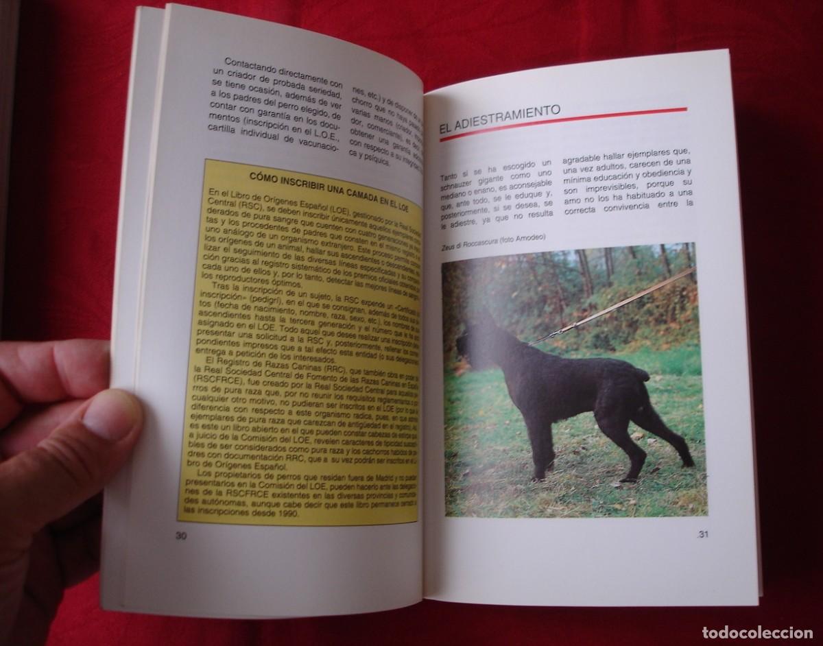 Libros de segunda mano: Lote dos libros sobre perros de raza Schnauzer. Como nuevos. - Foto 4