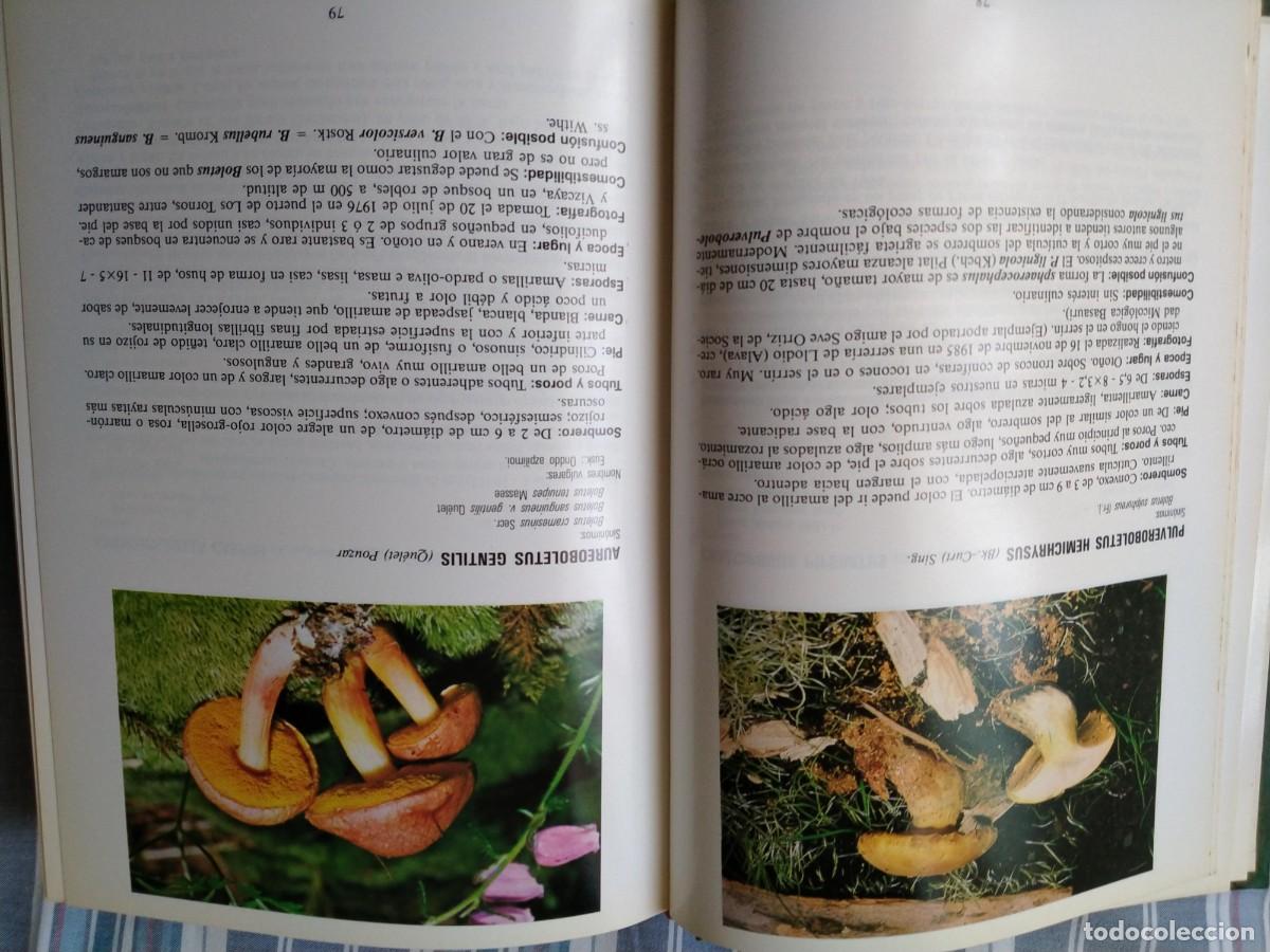 Libros de segunda mano: Setas Iberduero Guia - Foto 3