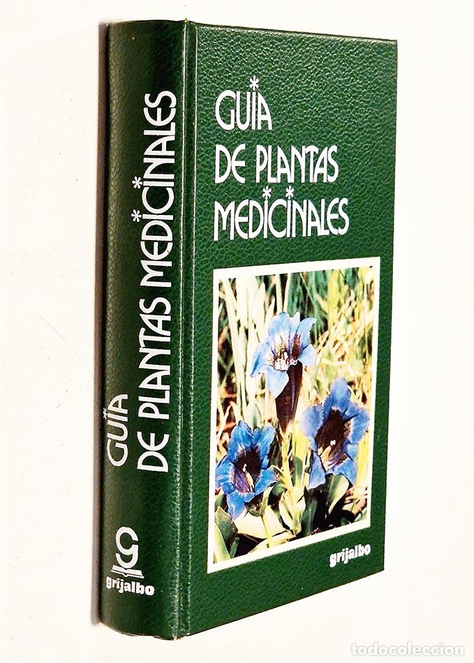 Libros de segunda mano: GU&Iacute;A DE PLANTAS MEDICINALES - CHIEJ, Roberto - Foto 1