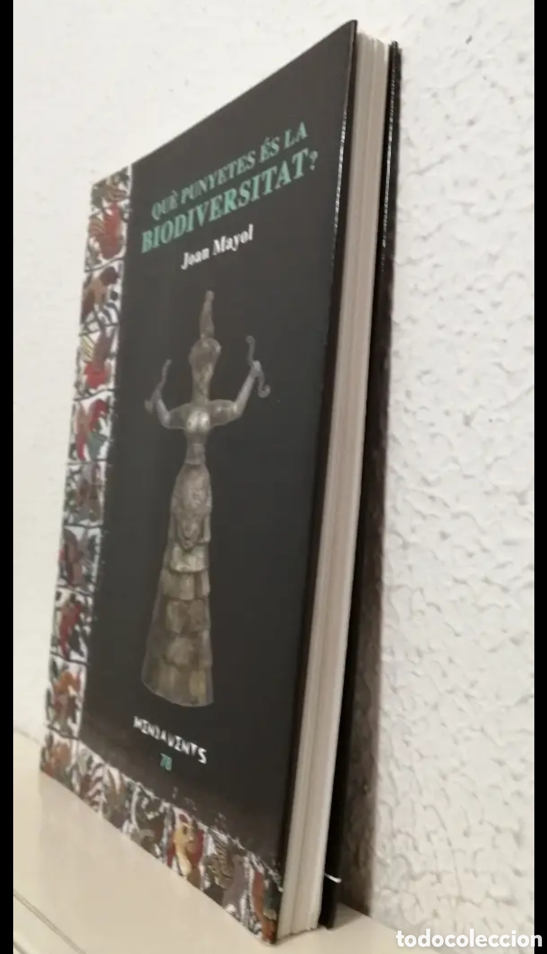 Libros de segunda mano: Que punyetes es la biodiversitat? Joan Mayol. Documenta Balear 2008 - Foto 2