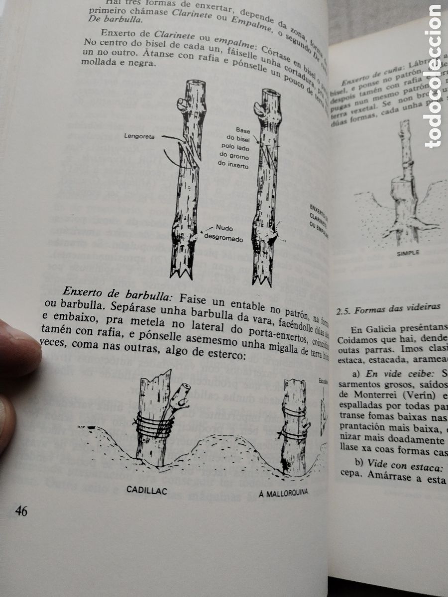 Libros de segunda mano: OS VI&Ntilde;OS DE GALICIA/XOSE POSADA - Foto 2