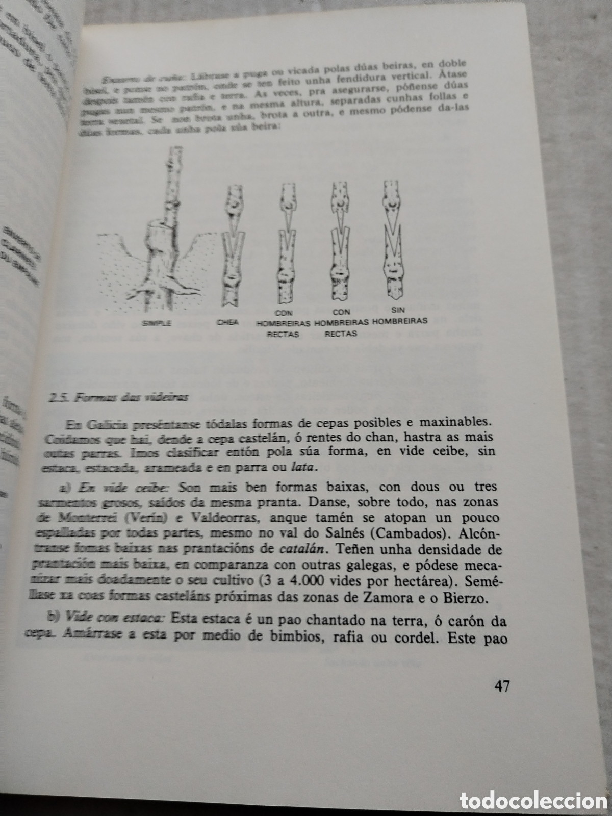 Libros de segunda mano: OS VI&Ntilde;OS DE GALICIA/XOSE POSADA - Foto 3