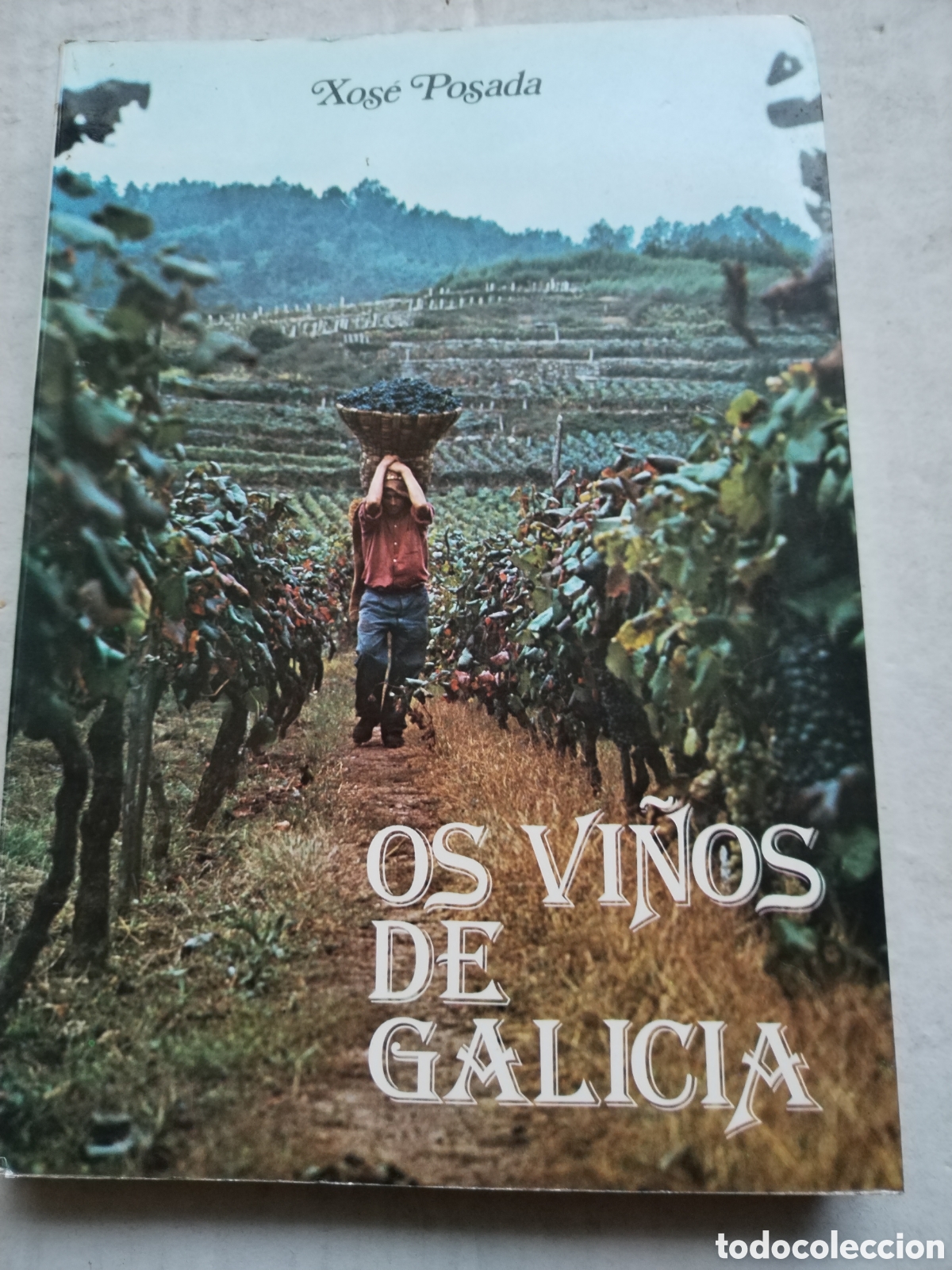 Libros de segunda mano: OS VI&Ntilde;OS DE GALICIA/XOSE POSADA - Foto 1