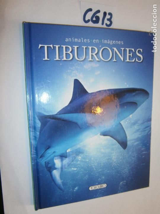 Libros de segunda mano: ANIMALES EN IMAGENES - TIBURONES - Foto 1