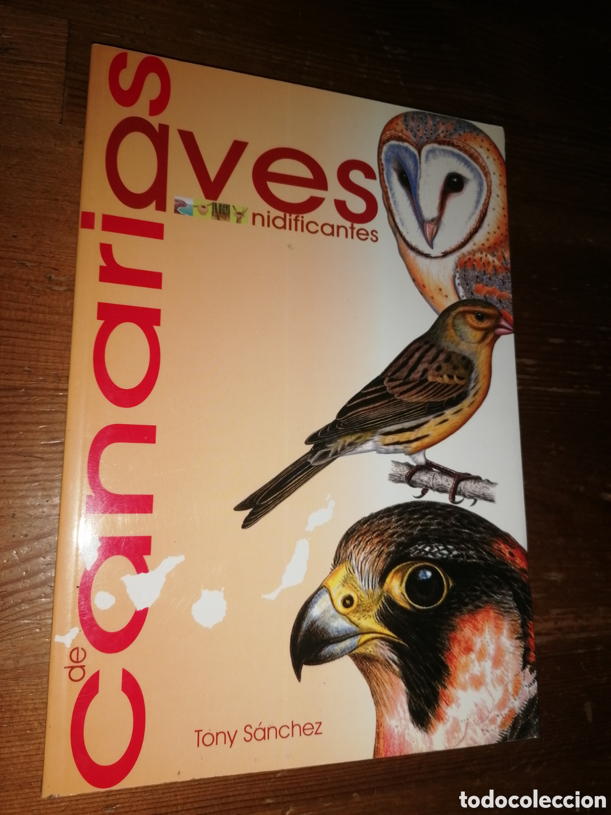 Libros de segunda mano: AVES DE CANARIAS NIDIFICANTES - Tony Sanchez - 2002 - Foto 1