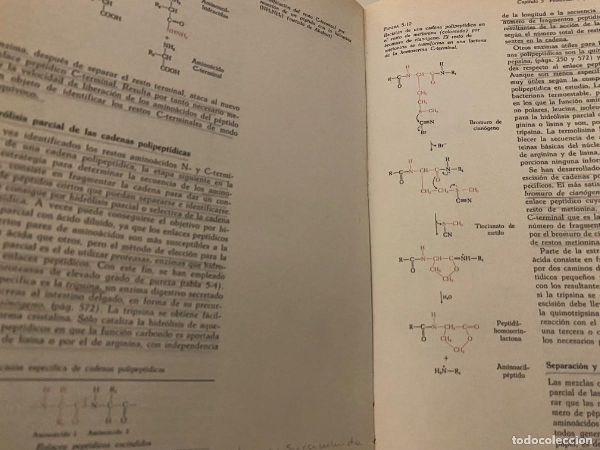 Libros de segunda mano de ciencias: BIOQU&Iacute;MICA - LEHNINGER - LAS BASES MOLECULARES DE LA ESTRUCTURA Y FUNCI&Oacute;N CELULAR - OMEGA - Foto 6