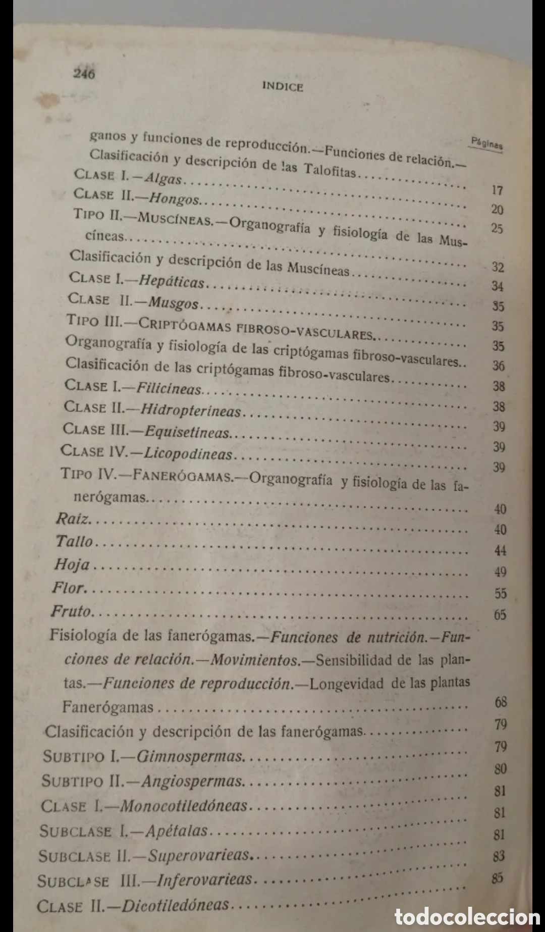 Libros de segunda mano: 1925 Compendio de Historia de Natural. Manuel Cazurro - Foto 6
