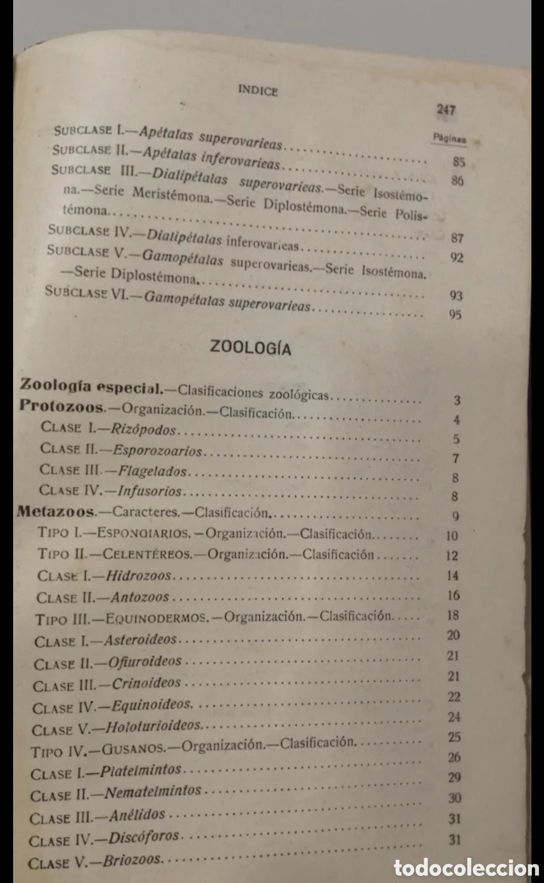 Libros de segunda mano: 1925 Compendio de Historia de Natural. Manuel Cazurro - Foto 7