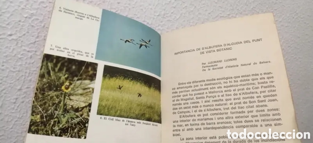 Libros de segunda mano: GOB Per qu&egrave; volem salvar SAlbufera Ecologisme Mallorca - Foto 6