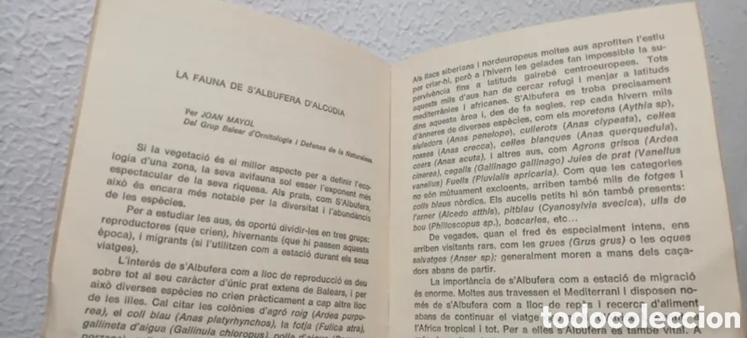 Libros de segunda mano: GOB Per qu&egrave; volem salvar SAlbufera Ecologisme Mallorca - Foto 7