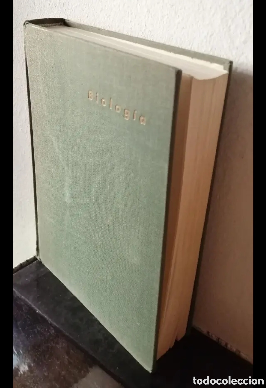 Libros de segunda mano: Biolog&iacute;a. Paul B. Weitz. Ediciones Omega - Foto 3