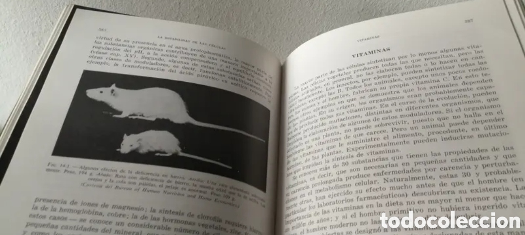 Libros de segunda mano: Biolog&iacute;a. Paul B. Weitz. Ediciones Omega - Foto 10