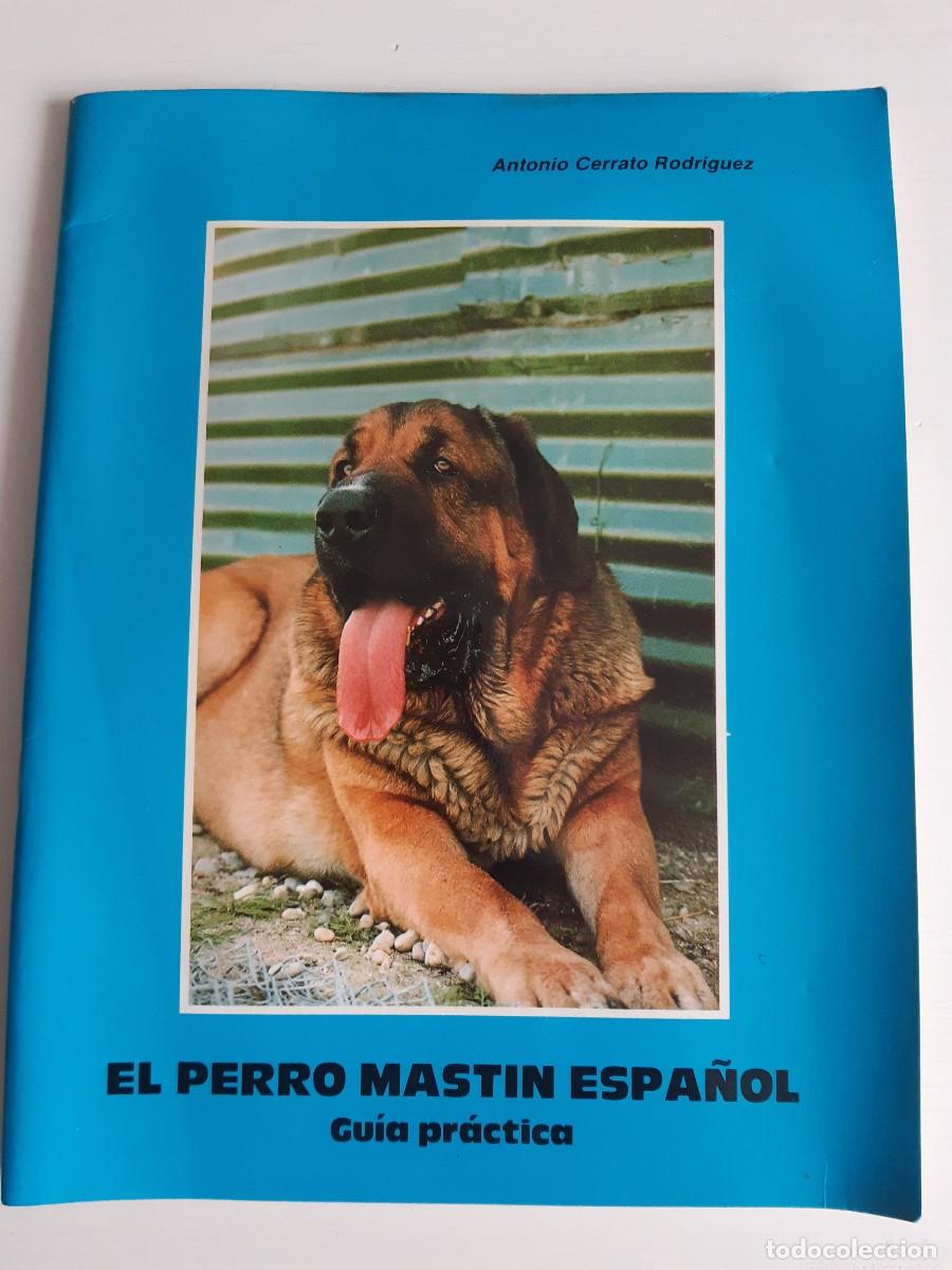 Gebrauchte B&uuml;cher: El perro mast&iacute;n espa&ntilde;ol gu&iacute;a pr&aacute;ctica Antonio Cerrato Rodr&iacute;guez