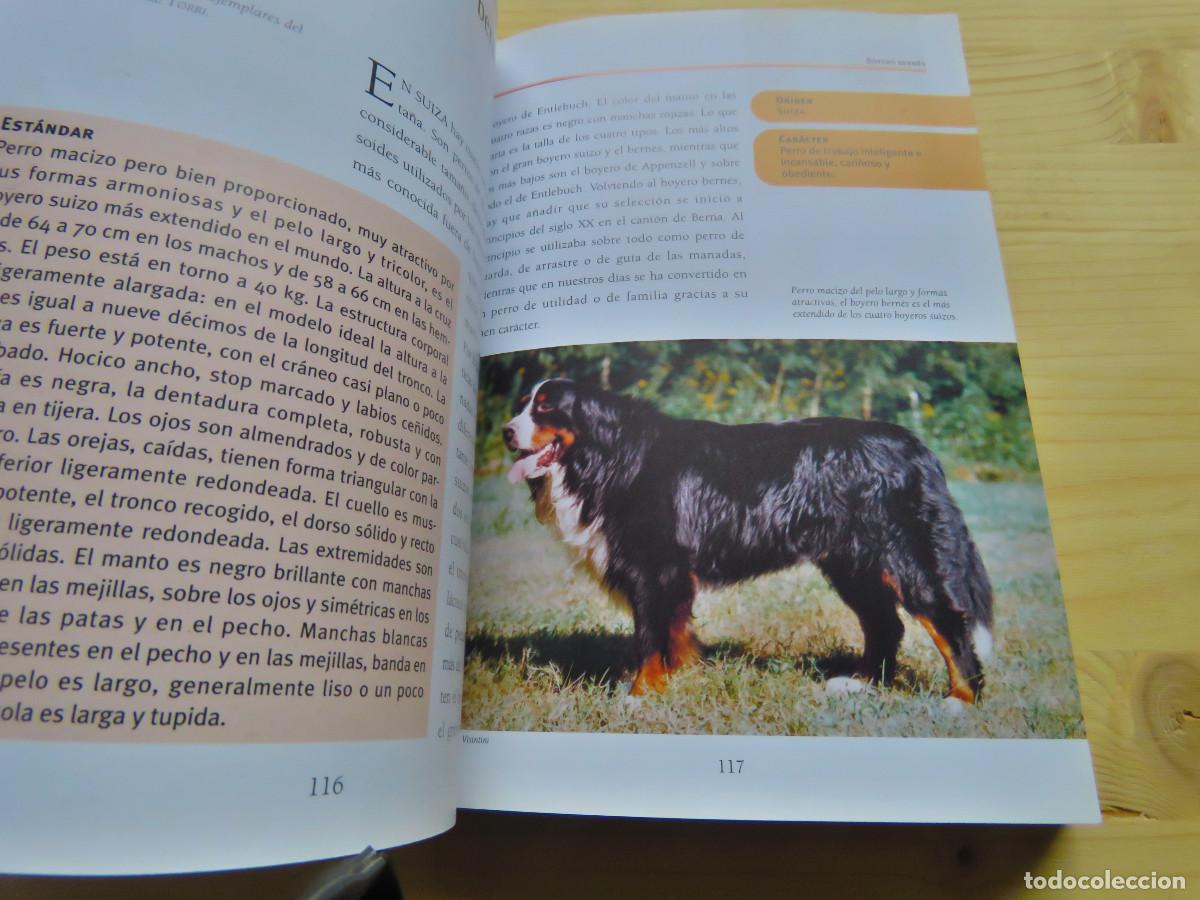 Libros de segunda mano: Guia del Aficionado Perros Las Razas Susaeta - Foto 2