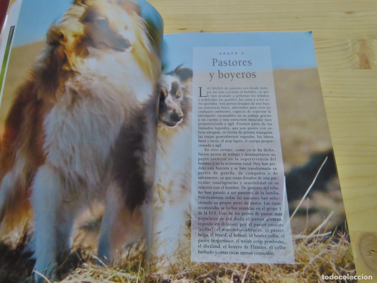 Libros de segunda mano: Guia del Aficionado Perros Las Razas Susaeta - Foto 3