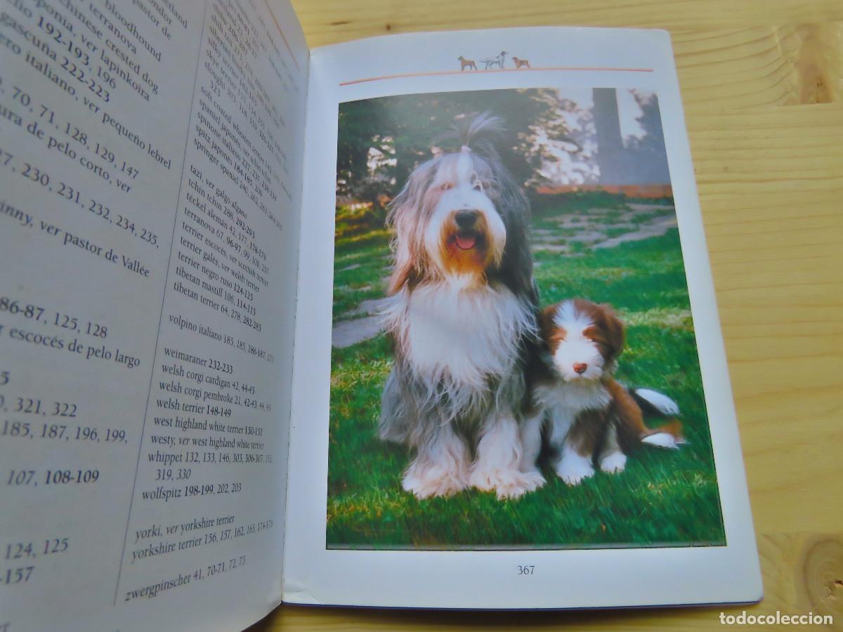 Libros de segunda mano: Guia del Aficionado Perros Las Razas Susaeta - Foto 4