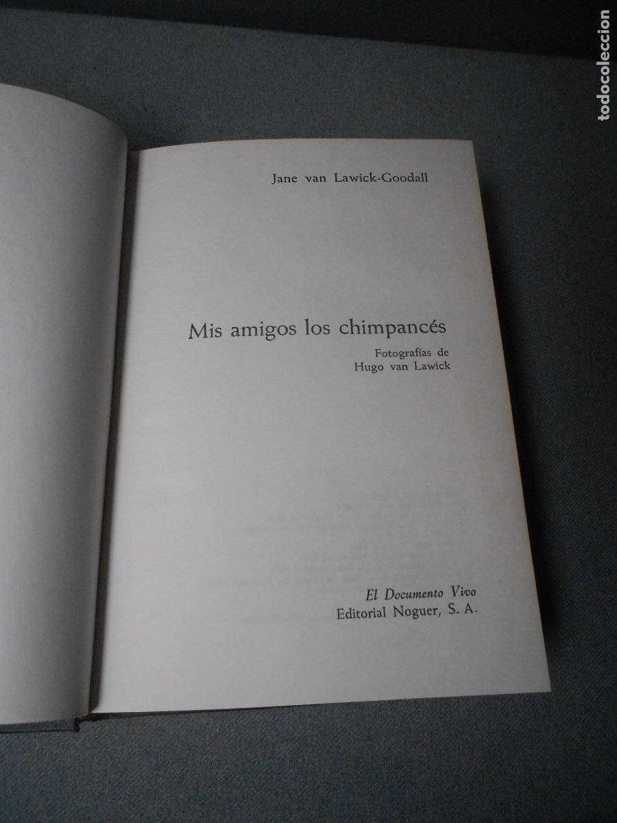 Libros de segunda mano: MIS AMIGOS LOS CHIMPANCES - Foto 3