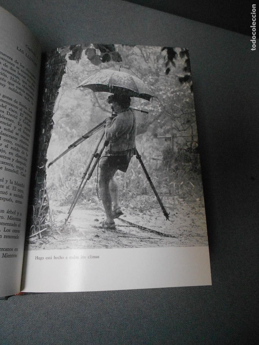 Libros de segunda mano: MIS AMIGOS LOS CHIMPANCES - Foto 4