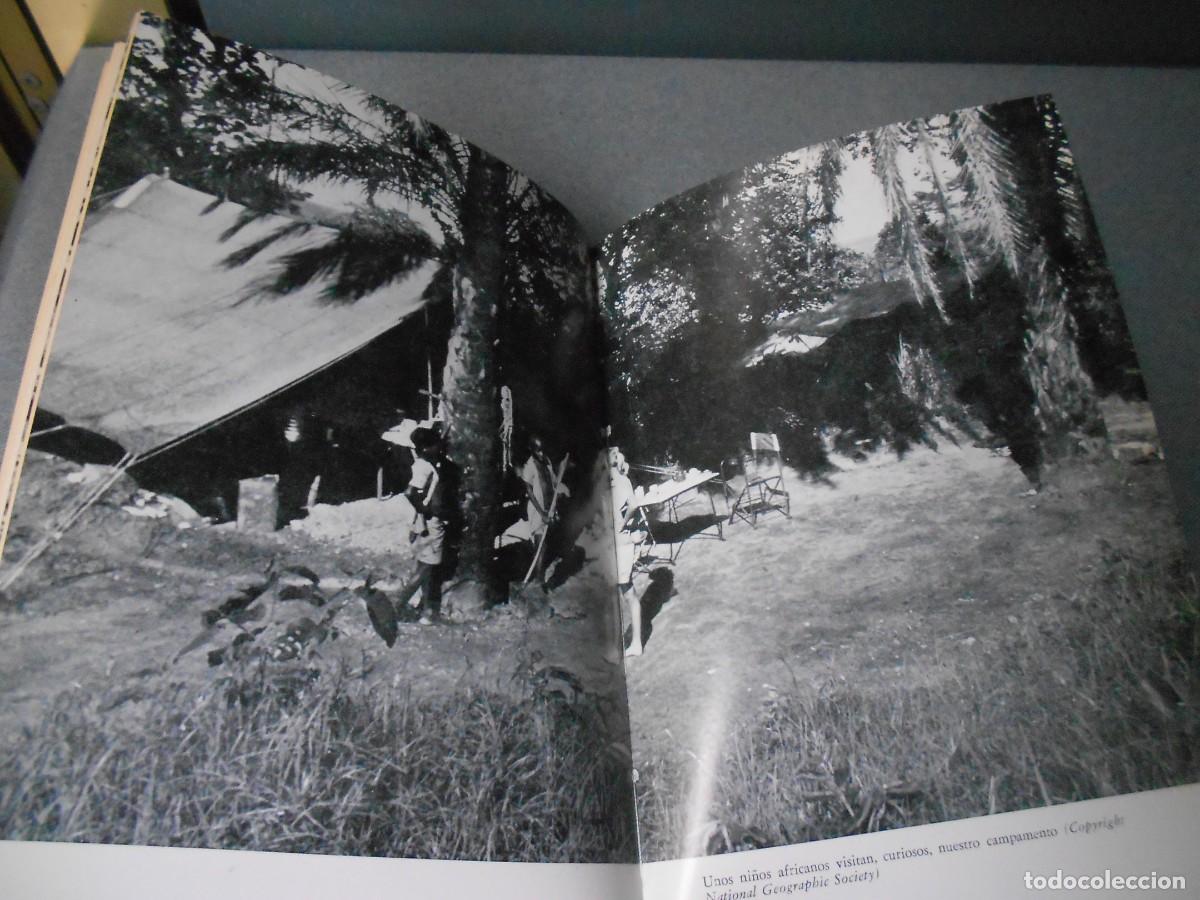 Libros de segunda mano: MIS AMIGOS LOS CHIMPANCES - Foto 7