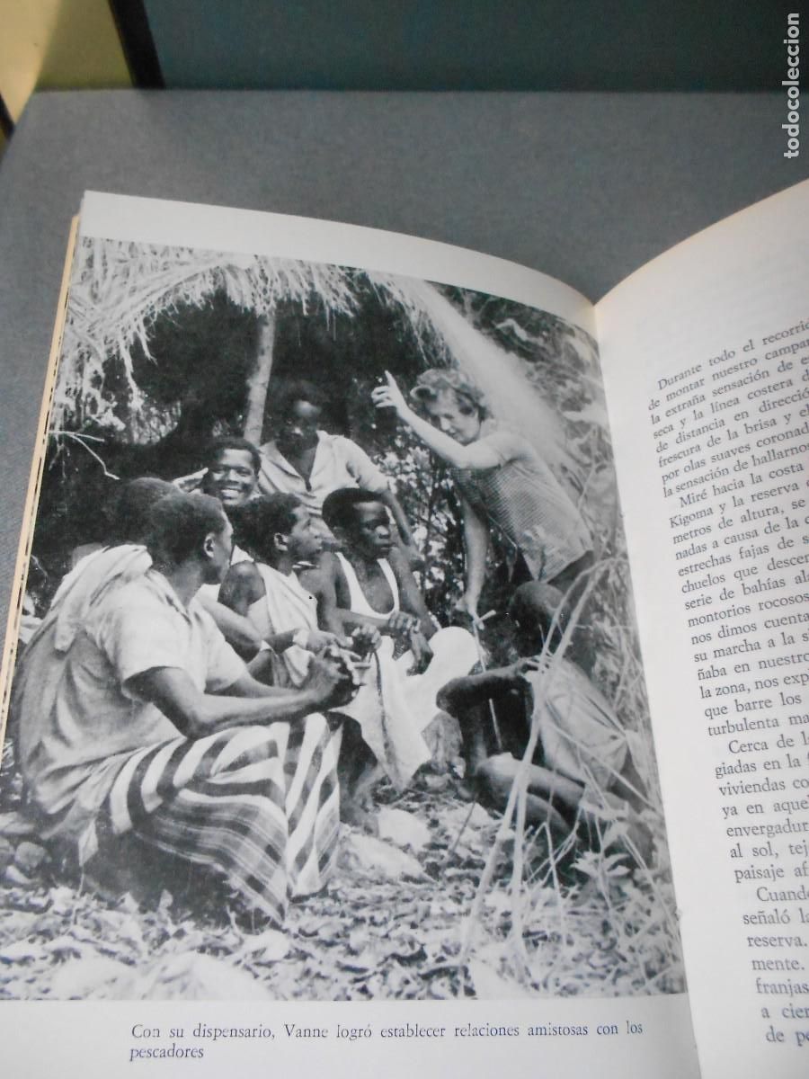 Libros de segunda mano: MIS AMIGOS LOS CHIMPANCES - Foto 8