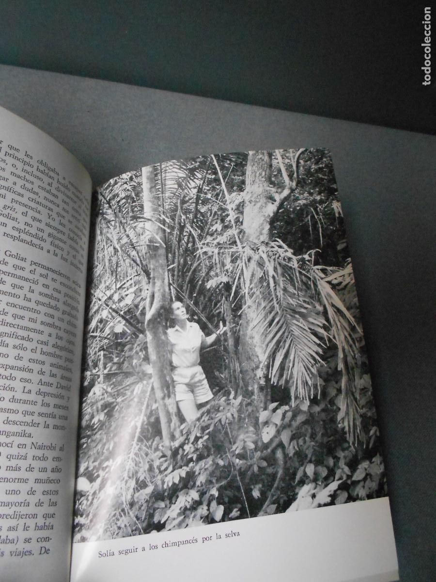 Libros de segunda mano: MIS AMIGOS LOS CHIMPANCES - Foto 9