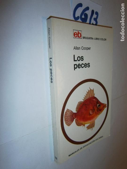 Libros de segunda mano: ANTIGUO BRUGUERA LIBRO COLOR - LOS PECES - Foto 1