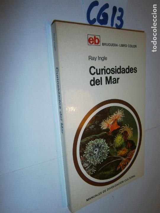 Libros de segunda mano: ANTIGUO BRUGUERA LIBRO COLOR - CURIOSIDADES DEL MAR - Foto 1