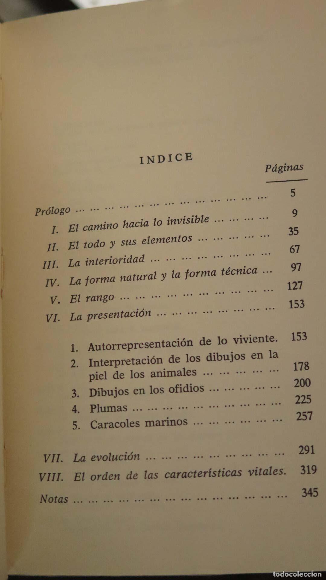 Libros de segunda mano: NUEVOS CAMINOS DE LA BIOLOGIA. PORTMANN - Foto 2