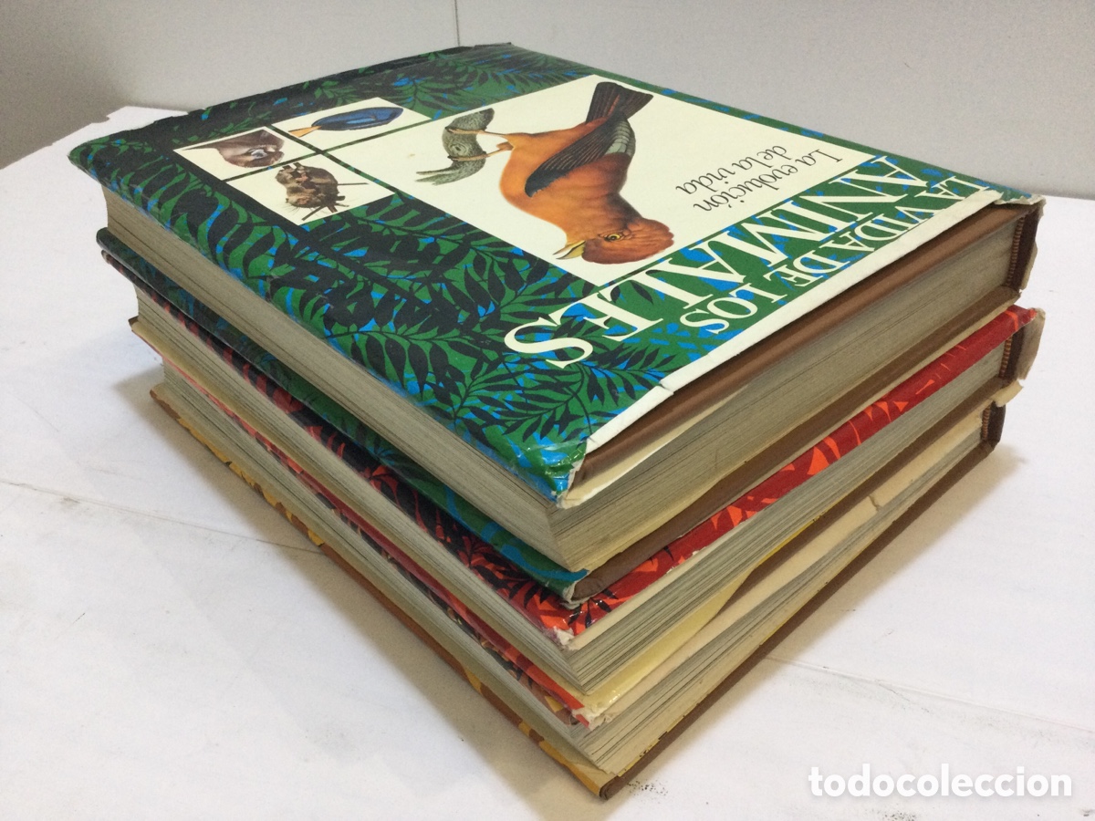 Libros de segunda mano: Colecci&oacute;n &ldquo;la vida de los animales&rdquo; - Foto 2