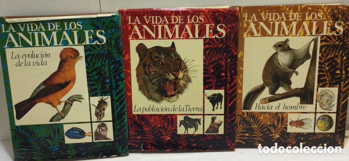 Libros de segunda mano: Colecci&oacute;n &ldquo;la vida de los animales&rdquo; - Foto 3