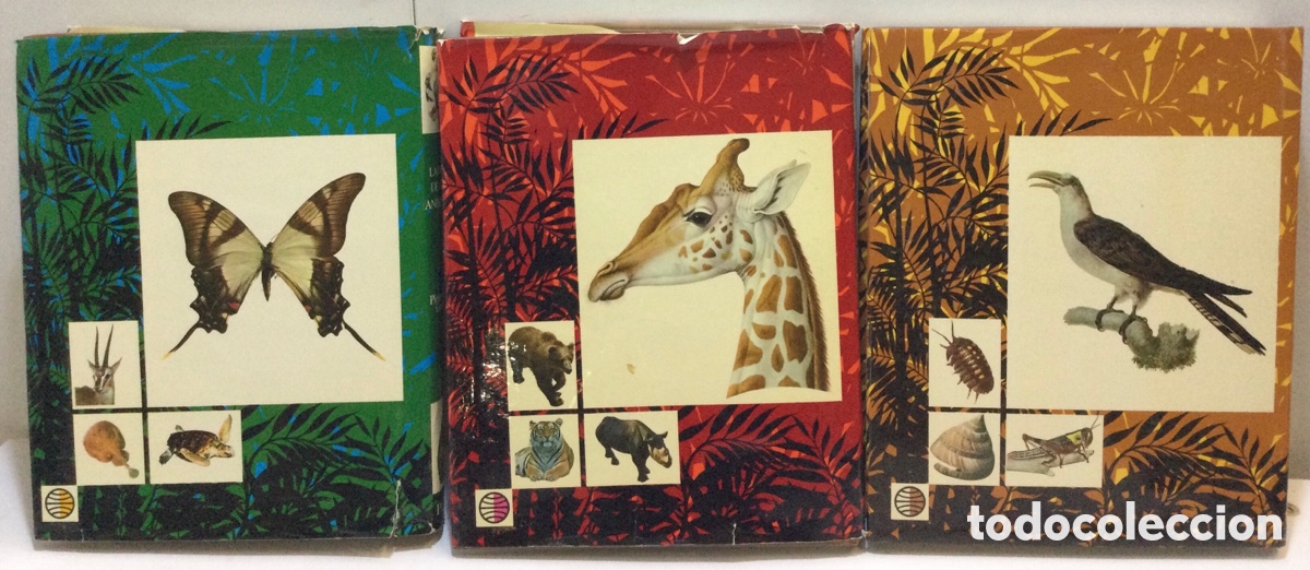 Libros de segunda mano: Colecci&oacute;n &ldquo;la vida de los animales&rdquo; - Foto 4