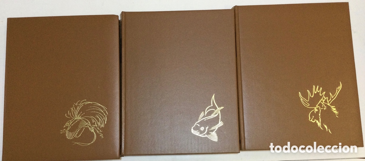 Libros de segunda mano: Colecci&oacute;n &ldquo;la vida de los animales&rdquo; - Foto 5